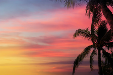 Dramatic atmosphere panorama view of silhouette palm tree with beautiful twilight sky and clouds.