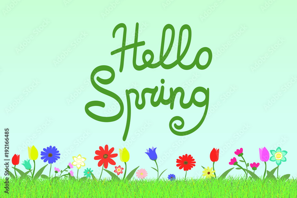 Poster set of many variation of flowers on blue sky background with grass and text lettering hello spring v
