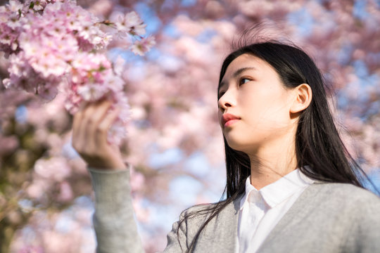 Junge Asiatin bewundert die Kirschblüte im Frühling