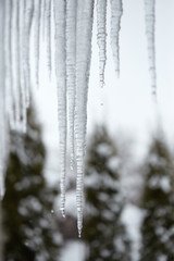 icicles hang from the roof of the house.
