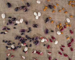 Different varieties of beans on the texture background of coarse cloth.