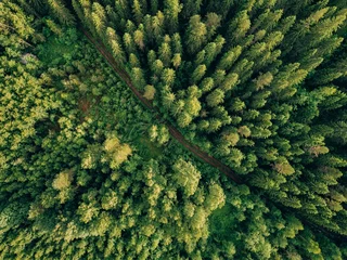 Deurstickers Luchtfoto bovenaanzicht van zomer groene bomen en weg in bos op het platteland van Finland. © nblxer