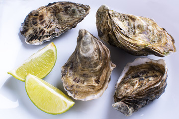fresh closed oysters with lemon on a white plate