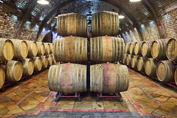 Wine cellar with a row of oak barrels