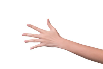 Woman hand showing five count isolated on white background