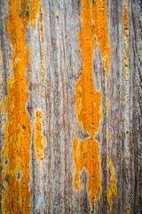 texture of brown bark wood