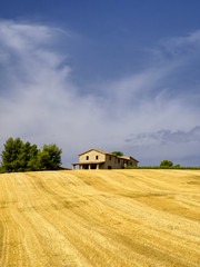 Landscape in Umbria at summer