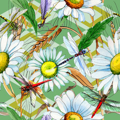 Wildflower chamomile flower pattern in a watercolor style. Full name of the plant: chamomile. Aquarelle wild flower for background, texture, wrapper pattern, frame or border.