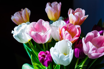 spring flowers banner, bunch of yellow and purple tulip flowers