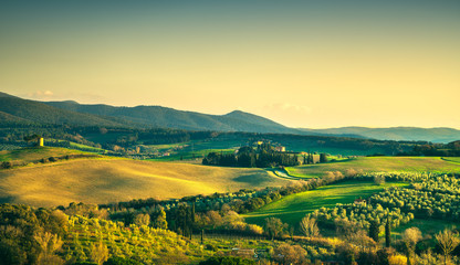Fototapeta na wymiar Maremma countryside and Magona forest. Bibbona, Tuscany, Italy.
