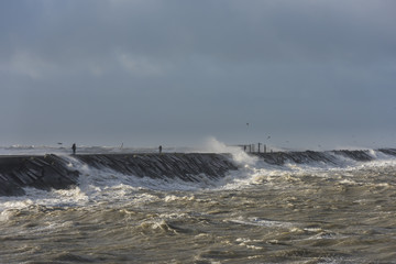 Man at Zuidpier Storm