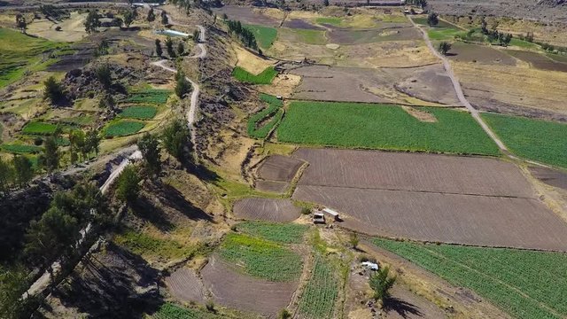 Farmer's fields in the Andes Mountains in Peru near the Colca Canyon valley