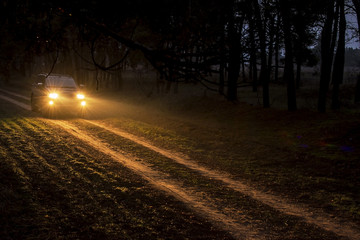 A car with lights on goes on a forest road