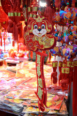 Chinese New Year in Shanghai