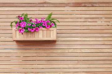 hanging basket with pink flower plants on the wooden wall
