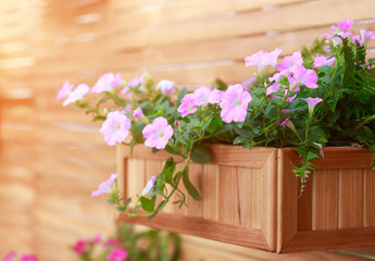 hanging basket with pink flower plants on the wooden wall