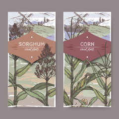 Set of two vintage labels with Sorghum bicolor and Corn aka Maize or Zea mays color sketch. Cereal plants collection.