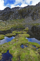 Fototapeta na wymiar Banks of lagoon full of moss (Distichia muscoides). Huancayo, Peru