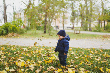 Little cute child baby boy walk in fall park, have fun, toss throw up dry yellow autumn leaves. Small kid son rest with good mood. Parenthood, family day 15 of may, love, parents, children concept.