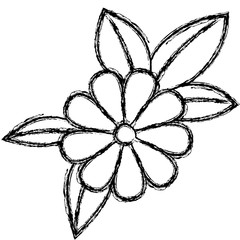 flower and leafs floral decoration vector illustration design