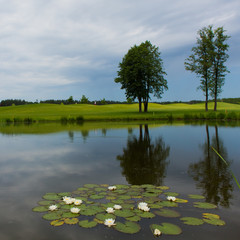 lush fairway in the foreground contrast in the distance at a gol © sarymsakov.com