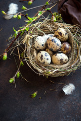 Obraz premium Easter Eggs in Nest