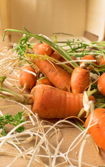 fresh organic carrot