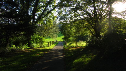 Gr&uuml;ne H&uuml;gel