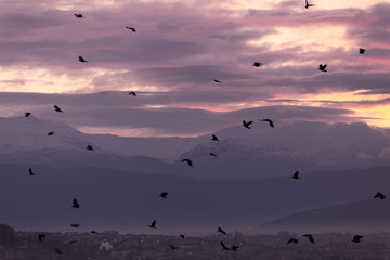 clouds in the morning heavy colors for background