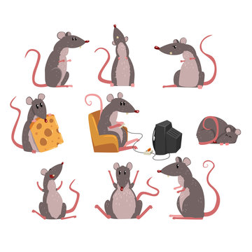 Cute grey mouse set, funny rodent character in different situations vector Illustrations
