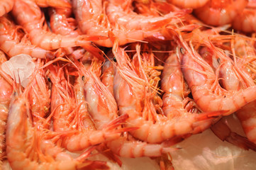 fresh shrimp on market