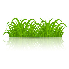 Green Grass