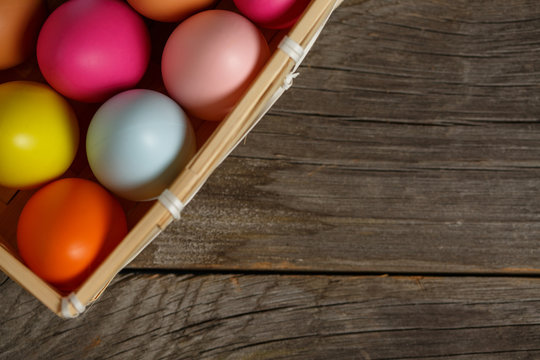 Colorful easter egg in the nest on wood background with space.