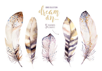 Hand drawn watercolor paintings vibrant feather set. Boho style rose wings. illustration feathers isolated on white. Bohemoan bird fly design for T-shirt, invitation, wedding card. © kris_art