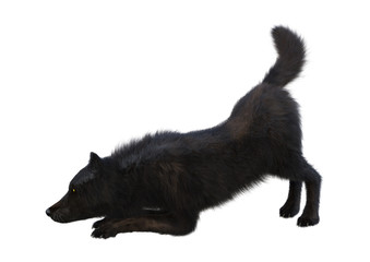 3D Rendering Black Wolf on White