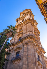 Obraz premium Malaga cathedral
