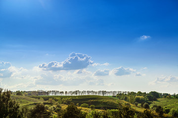 Fototapeta na wymiar Green hills with tree chain and cumulus clounds on deep blue sky.