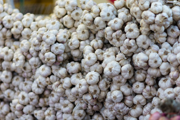 close up garlic in market