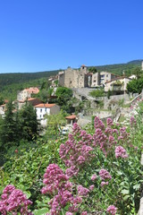 Village de montagne avec des fleurs