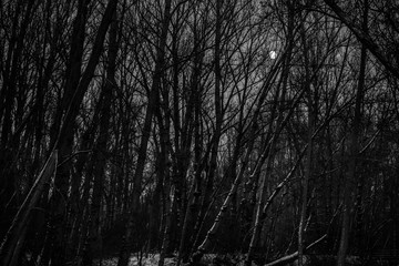 Albarracín en invierno