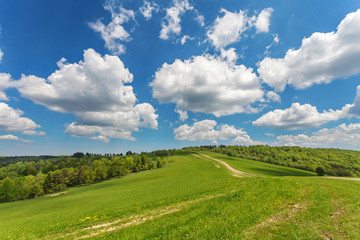 Fototapeta na wymiar Blue cloudy sky over green hills and country road