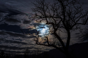 Sonne/Mond durch Wolken mit Baum