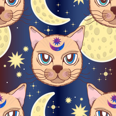 Vector pattern with a cat, moon, stars. Magical and fairy. Suitable for postcards, printing, posters, textiles.