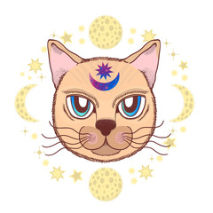 Vector illustration with a cat, moon, stars. Magical and fairy. Suitable for postcards, printing, posters, textiles.