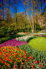 Plakat Beautiful garden. Park in The Spring. Spring landscape