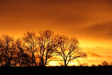 paysage