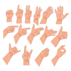 Set of hand gestures. Vector illustration isolated on white background.