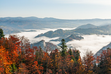 pieniny © Wiesaw