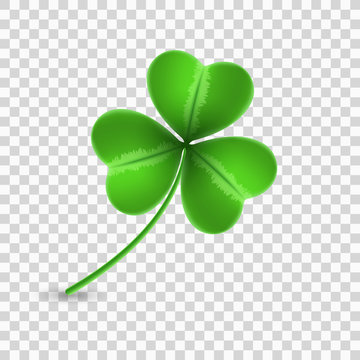 Clover of shamrock isolated on a transparent background. Happy Saint Patricks Day. Graphic object for your projects. Vector illustration