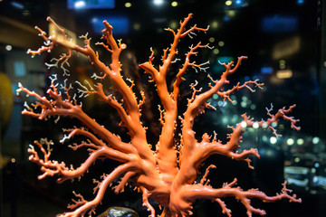 red coral